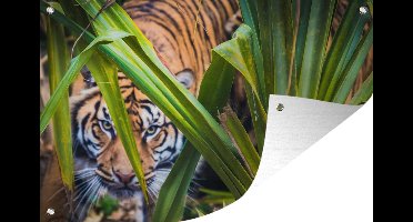Tuinposters buiten Verstopte Sumatraanse tijger tussen het gebladerte - 90x60 cm - Tuindoek - Buitenposter