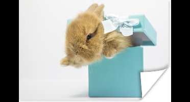 Poster Konijn - Pastel - Blauw - 30x20 cm