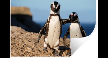 Muurstickers - Sticker Folie - Twee pinguïns knuffelen op een rots - 30x20 cm - Plakfolie - Muurstickers Kinderkamer - Zelfklevend Behang - Zelfklevend behangpapier - Stickerfolie