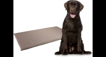 Benchkussen Taupe - Bruin - 116 x 69 x 3 cm