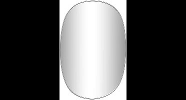 vidaXL - Wandspiegel - 60x40 - cm - zilverkleurig