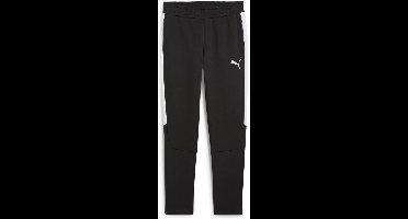 Puma Sporthose TeamEVOSTRIPE Pants 659948 Puma Black-Puma Silver-Puma White-S