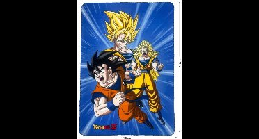 Deken Dragon Ball Multicolour dieren