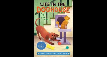 Life in the Doghouse - Finn and the Feline Frenemy