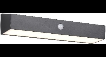 REALITY SILVES - Wandlamp - Zwart - incl. 1x SMD 6 W - Bewegingssensor - Schemersensor - USB-aansluiting - Helderheid instelbaar - Oplaadbaar - Zonne-energie - Bewegingssensor en orientatielicht - Hybrid Solar - oplaadbaar - Buitenverlichting - IP44