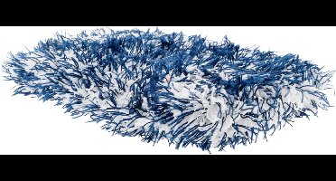 CROP TwinTurbo Wash Pad - Autospons