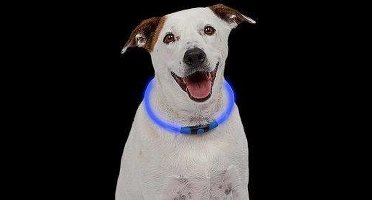 Nite Ize NITEHOWL - Veiligheids halsband voor dieren - LED Blauw
