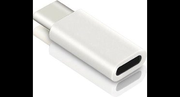 New Age Devi - Lightning naar Usb C Adapter - Mini Adapter voor Lightning naar Usb C - Niet geschikt voor koptelefoon