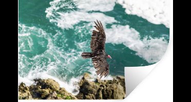 Muurstickers - Sticker Folie - Dieren - Roofvogels - Water - 30x20 cm - Plakfolie - Muurstickers Kinderkamer - Zelfklevend Behang - Zelfklevend behangpapier - Stickerfolie