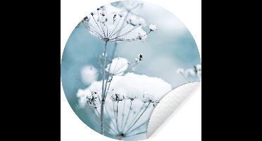 WallCircle - Muurstickers - Behangcirkel - Sneeuw - Bloemen - Winter - Seizoenen - Takken - ⌀ 30 cm - Muurcirkel - Zelfklevend - Ronde Behangsticker