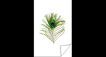 Poster Pauwenveren - Groen - Ogen - 20x30 cm