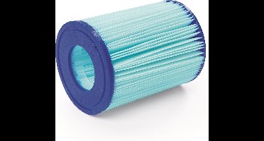 Bestway Filter Type II Anti Microbe