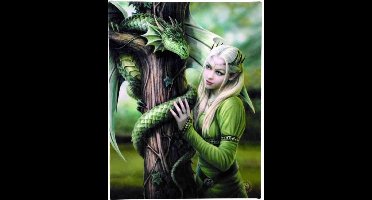 Anne Stokes Kindred Spirits canvas schilderij