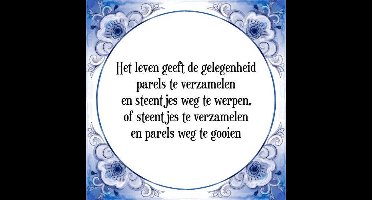 Tegeltje met Spreuk (Tegeltjeswijsheid): Het leven geeft de gelegenheid parels te verzamelen en steentjes weg te werpen, of steentjes te verzamelen en parels weg te gooien + Kado verpakking & Plakhanger