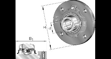 INA Flenslagerblok gietijzer - RFE30-XL
