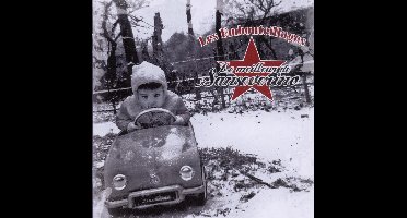 Le Meilleur De Sanseverino