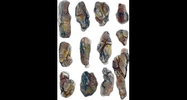 Woodland Scenics WC1246 – Universeel Gipsmal Rotsen voor in beekloop – 190 mm x 120 mm