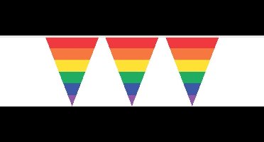 Vlaggenlijn regenboog 10Meter
