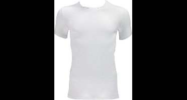 Apollo T-shirts Round Neck Heren Biokatoen Wit 2 Stuks Maat S