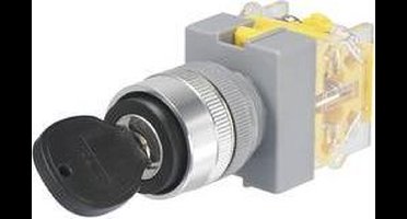 TRU COMPONENTS 704480 Y090-A-11Y/21 Sleutelschakelaar 250 V/AC 5 A uit/aan 1 x 90 ° IP40 1 stuk(s)