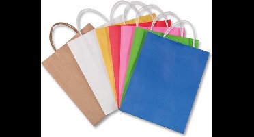 Papieren zakjes Folia 20 st. - 24x12x31cm bruin