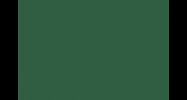 Tekenpapier Folia A4 dennen- - groen 130grs pak 100 vel