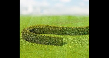 Faller - 2 PREMIUM Sierheggen/haagbeuken - modelbouwsets, hobbybouwspeelgoed voor kinderen, modelverf en accessoires