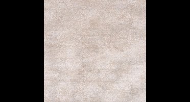 Vloerkleed Xilento Shades Macadamia | 200 x 300 cm