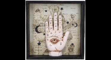 Nemesis Now Beeld/figuur - Palmistry Companion - Ingelijst Chiromantie Wandornament - (hxbxd) ca. 20,2cm x 20cm x 3,8cm