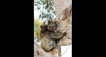 Poster Koala's - Kind - Boom - Kinderen - Jongetje - Meiden - 20x30 cm