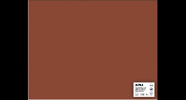 APLI  Bruin Karton 50 x 65 cm 170 g/m² - 25 vel
