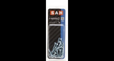 22x SAM Zelftappende schroef bolverzonken kop B2 816114