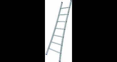 Solide Enkele Uitgebogen Ladder - 1x7 Sporten | Bestel nu