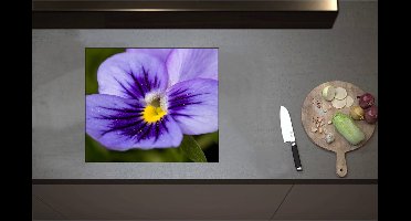Inductieplaat Beschermer - Close Up van Paars Viooltje met Fel Geel Midden - Bloemen - 58x50 cm - 2 mm Dik - Inductie Beschermer - Bescherming Inductiekookplaat - Kookplaat Beschermer van Zwart Vinyl
