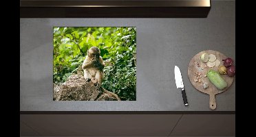 Inductieplaat Beschermer - Bruine Makaak Aap op Rots in Groene Omgeving - 58x52 cm - 2 mm Dik - Inductie Beschermer - Bescherming Inductiekookplaat - Kookplaat Beschermer van Wit Vinyl