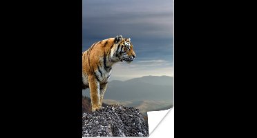 Poster Tijger - Berg - Natuur - Landschap - 20x30 cm