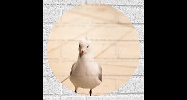 WallClassics - Muursticker Cirkel - Huppelende Grote Zeemeeuw - 40x40 cm Foto op Muursticker