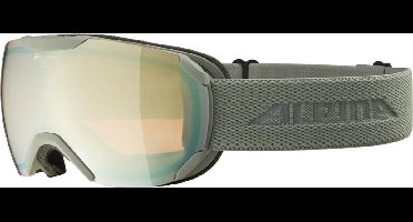 Alpina Pheos S Q Skibril | Grijs | Categorie 2