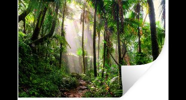 Muurstickers - Sticker Folie - Jungle - Park - Puerto Rico - 30x20 cm - Plakfolie - Muurstickers Kinderkamer - Zelfklevend Behang - Zelfklevend behangpapier - Stickerfolie