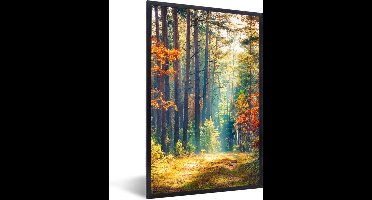 PosterMonkey - Fotolijst - Bos - Bladeren - Natuur - Herfst - Poster - Kader - 60x90 cm - Poster frame - Poster bos - Foto lijst - Poster natuur - Kerstversiering - Kerstdecoratie voor binnen - Kerstmis
