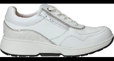Sneakers  - Lage sneakers /  - Leer - 30204.3     -   - Maat 41