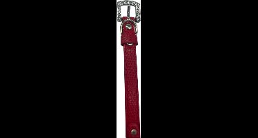 Kattenhalsband / Kleine Hondenhalsband - Rood - Diameter 8 CM - Lengte 30 CM - Breedte 1 CM - Gesp met Luxe Diamantsteen-look