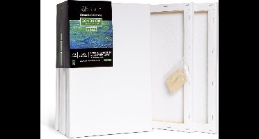 Elan Schildersdoeken 20x30 CM, 6 Stuks Canvasdoeken 20x30 CM, 100% Katoenen Canvas voor Schilderen, Stretched Canvas, Painting Canvas 20x30 CM, Pre Primed Canvas, Schilderdoek 20x30 CM