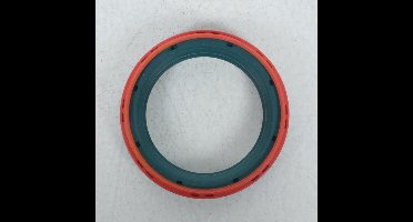 skf vork stofhoes voor triumph 955 daytona single arm motor 1997 tot 1998 nieuw