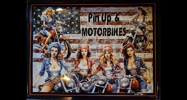Pin Up & Motorbikes Metalen wandbord 30 x 40 cm.