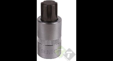 M6, 55MM, Ribe dopbit, 1/2 duims aansluiting, Seneca