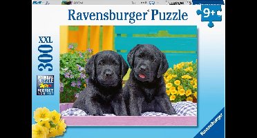 Ravensburger puzzel Zwarte labradors - Legpuzzel - 300 stukjes