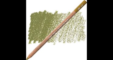 Caran D'ache Pastel Potlood - Olive Brown (039)