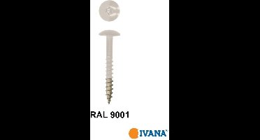 Ivana Gevelschroef t.b.v. Trespa RAL9001 CrÃ¨me Wit TX-20 4.8x25 100St