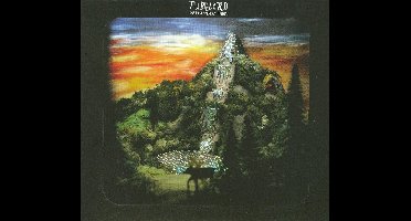 Our First American Friends